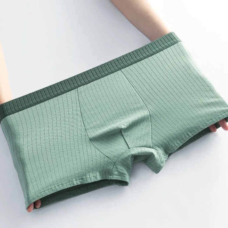 100% Cotton Panties Striped Antibacterial Briefs - dealod