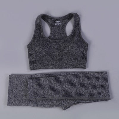 2 Piece Seamless Yoga Set - dealod