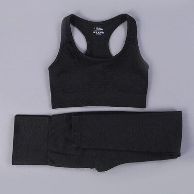 2 Piece Seamless Yoga Set - dealod