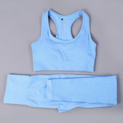 2 Piece Seamless Yoga Set - dealod