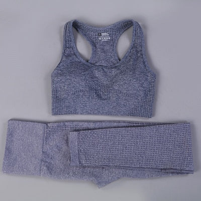 2 Piece Seamless Yoga Set - dealod