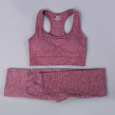 2 Piece Seamless Yoga Set - dealod