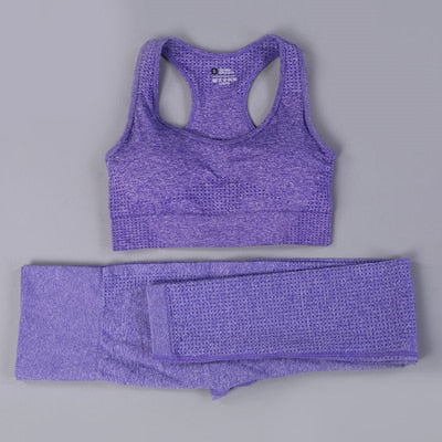 2 Piece Seamless Yoga Set - dealod