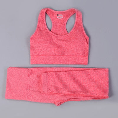 2 Piece Seamless Yoga Set - dealod