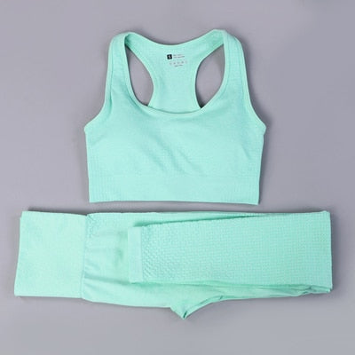 2 Piece Seamless Yoga Set - dealod