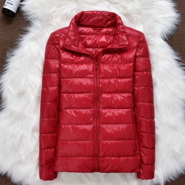 Fine cotton jacket - dealod